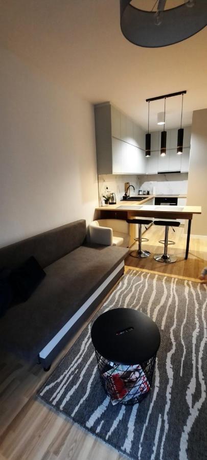 Apartament Wiosenna Bialystok Luaran gambar